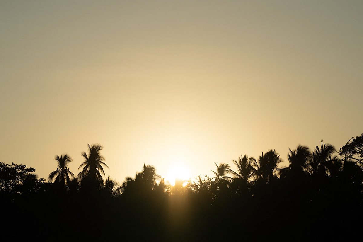 Sonnenuntergang hinter Palmensilhouetten
